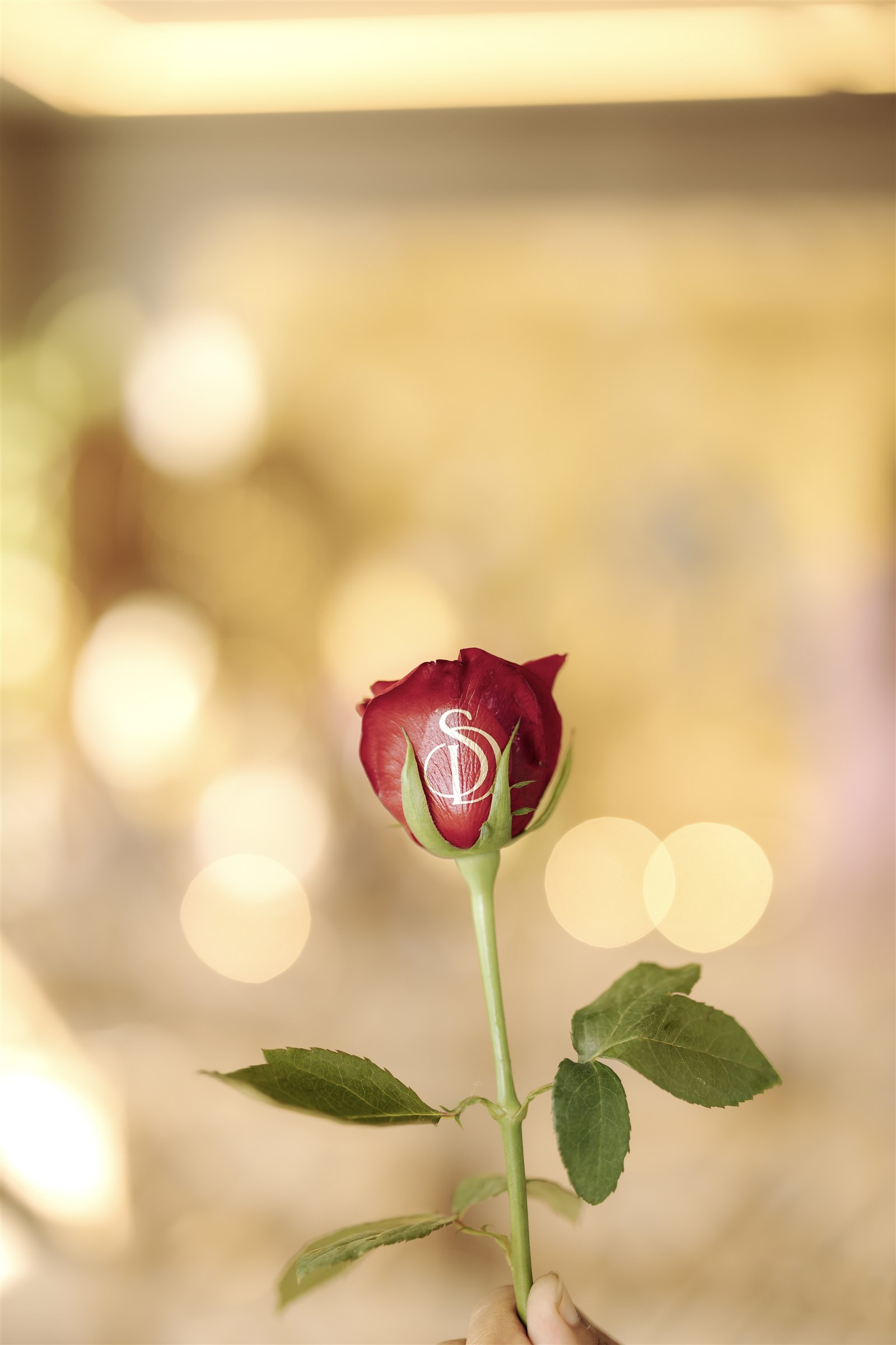 Pooja ceremony styling by DreamzKrraft branding & gifting